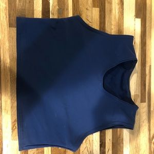gc2b navy blue binder